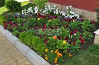 Holiday complex Sveti Vlas city
